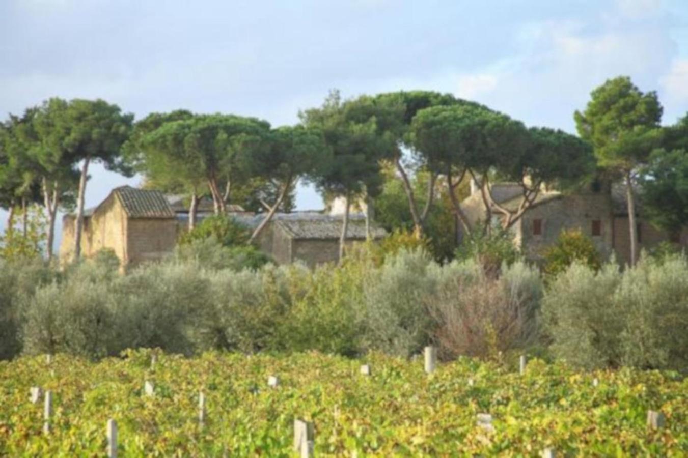 Antico Borgo La Commenda Aparthotel Montefiascone Exterior foto